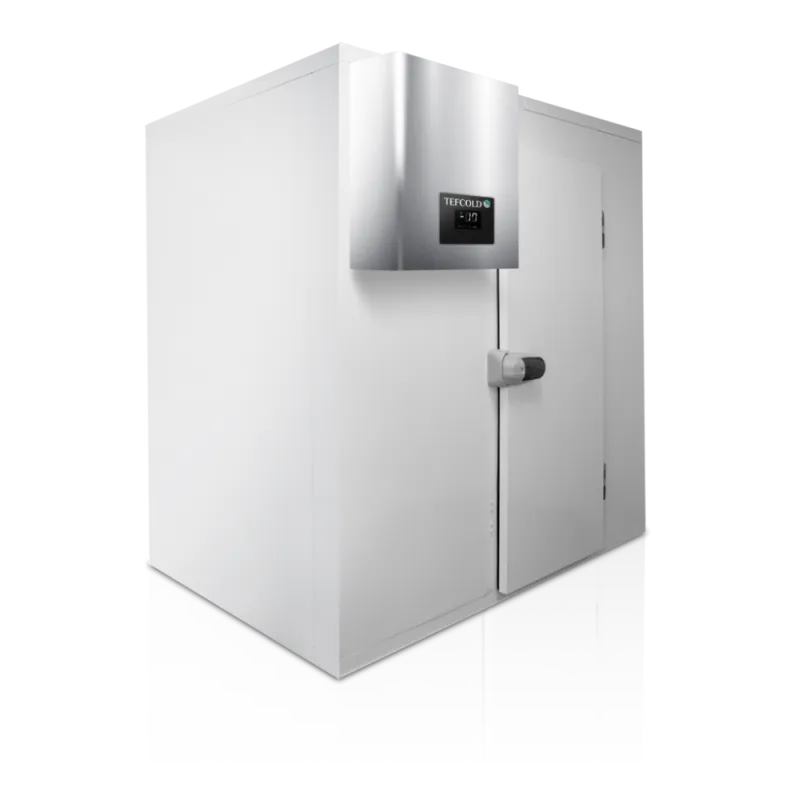 Chambre Froide Négative TEFCOLD - Dimensions 2100x2700mm | Stockage Professionnel