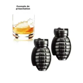 Moule à Glaçon Grenade x2