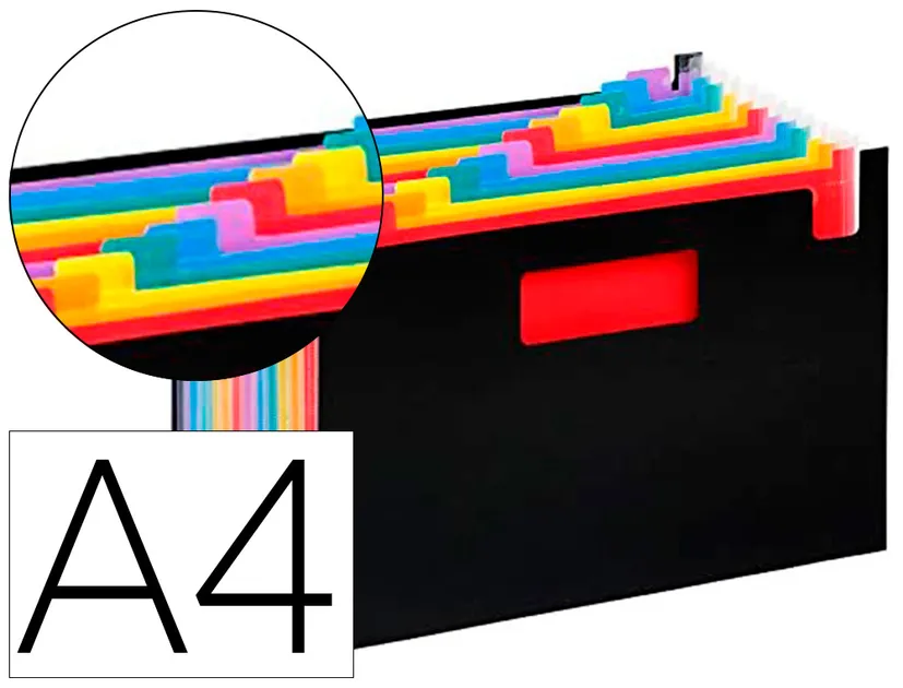 TRIEUR SEATCASE RAINBOW CLASS 12 COMPARTIMENTS